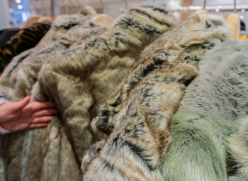 Close-up of fur coats hanging in clothing store