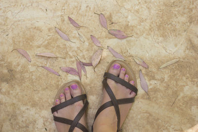 Low section of woman standing by leaves on walkway