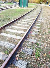 Railroad tracks amidst plants