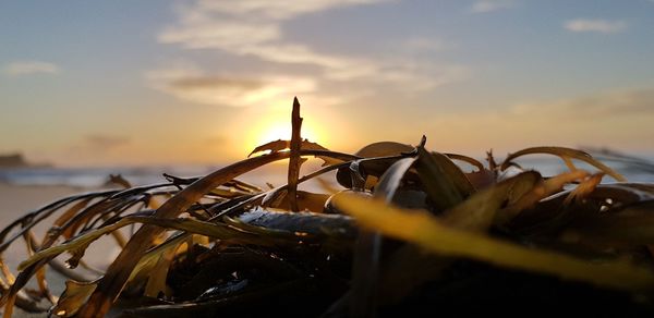 Close-up of metallic structure on beach against sky during sunset