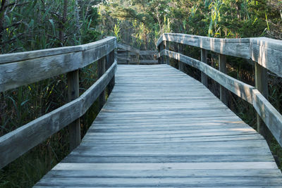 Boardwalk to the fire island lighthouse with tall green grass, trees and bushes rising above it