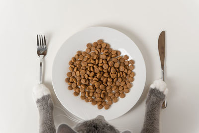 High angle view of food in plate