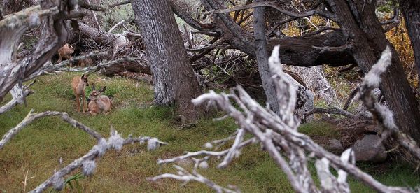 Close-up of fishing net