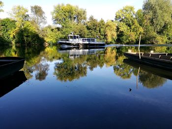 Reflection of trees in lake