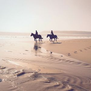 People riding horses at beach against sky