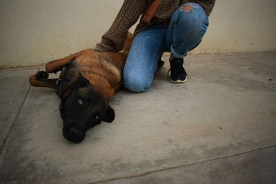 Low section of man with dog