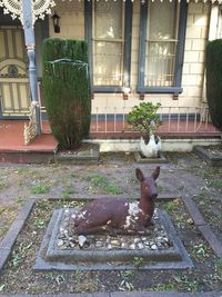 Statue by potted plants in yard