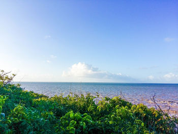 Scenic view of sea against sky at french guiana