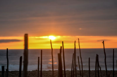 Silhouette wooden posts on beach against sky during sunset