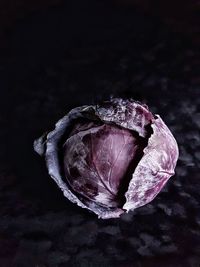 Close-up of wilted rose against black background