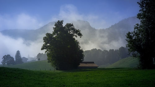 Scenic view of field against cloudy sky