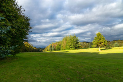 Scenic view of trees on field against sky