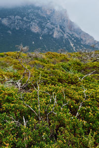 Scenic view of rocky mountains