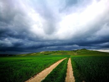 Scenic view of agricultural field against sky