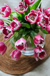 High angle view of pink tulip flowers on table