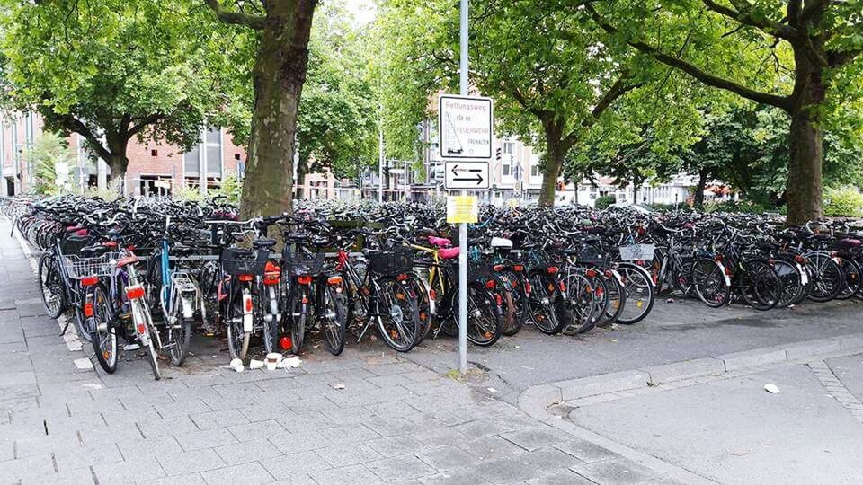 BICYCLES ON TREE