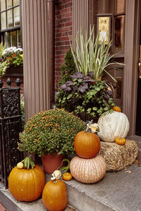 View of pumpkins on market stall