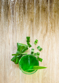 High angle view of green plant on table