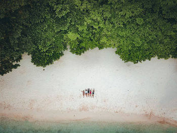 Aerial view of people lying at beach