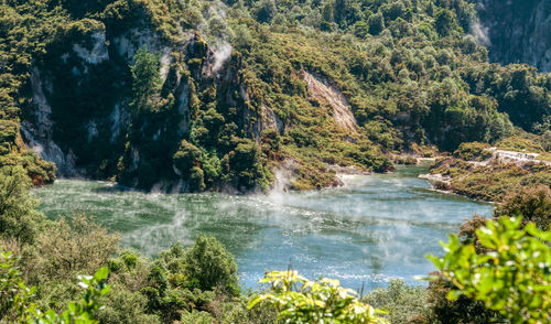 Scenic view of waterfall in forest