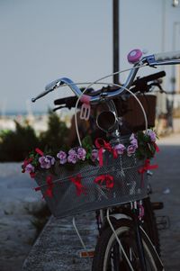 Close-up of pink flowering plant in basket