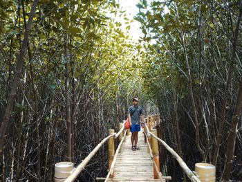 Man standing on footbridge in forest