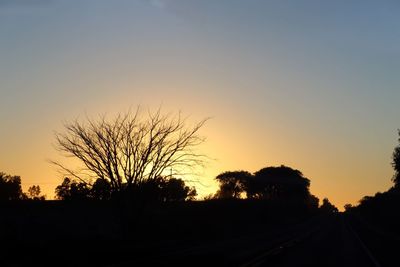 Silhouette bare trees at sunset