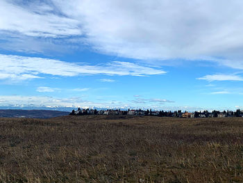 Scenic view of agricultural field against sky