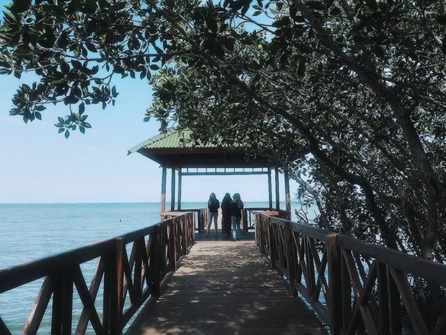 water, the way forward, built structure, sea, railing, rear view, pier, men, person, architecture, lifestyles, leisure activity, sky, tree, walking, tranquility, tranquil scene, nature, full length