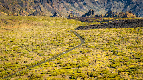 High angle view of winding road