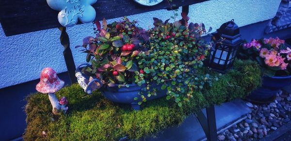 High angle view of potted plants in yard