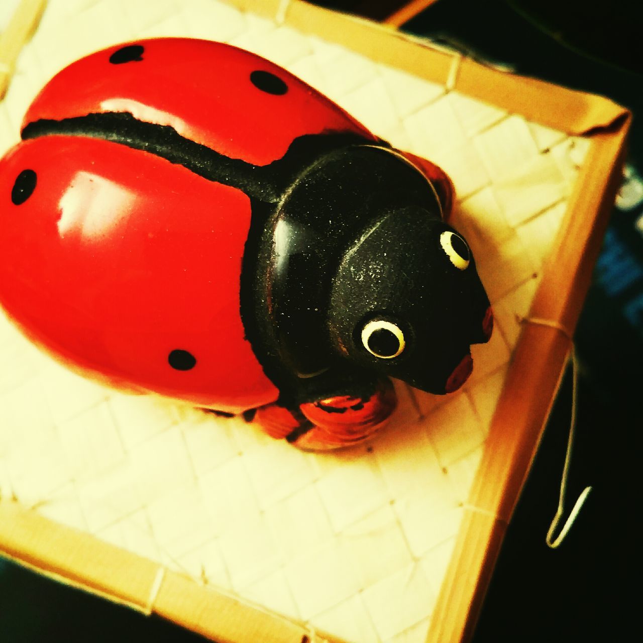 indoors, toy, close-up, high angle view, red, still life, single object, childhood, black color, no people, focus on foreground, man made object, animal representation, table, two objects, metal, day, plastic, multi colored, portrait