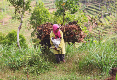 Female farmer carrying firewood while standing on grass 