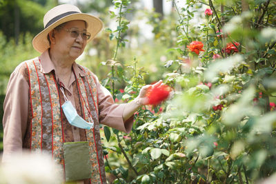 Asian old elderly elder woman resting relaxing in rose flower garden. senior leisure lifestyle