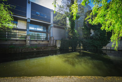 View of building by trees