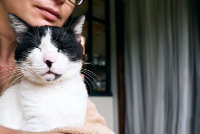 Quiet black and white cat with closed eyes sitting on the lap of his mistress. 