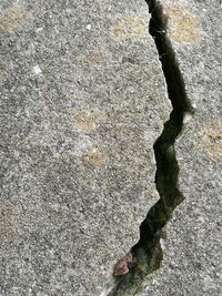 Full frame shot of rock