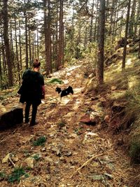 Rear view of people with dog in forest