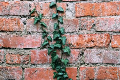 Full frame shot of brick wall