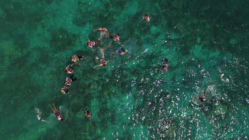 Aerial view of people swimming in sea