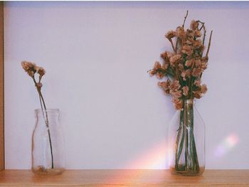 Close-up of wilted plant in vase on table against wall