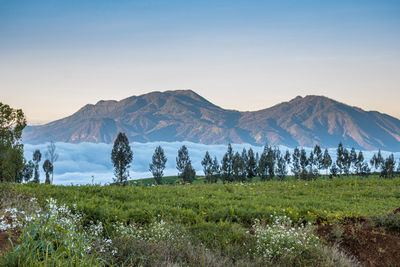 Scenic view of snowcapped mountains against sky