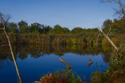 Scenic view of lake against clear blue sky