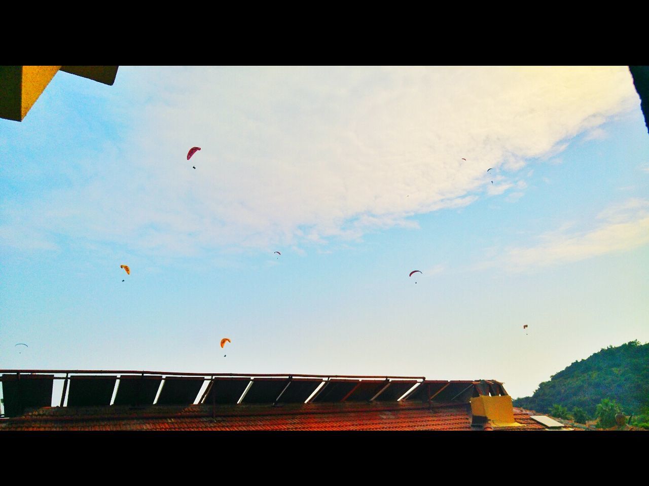 flying, low angle view, mid-air, sky, transportation, built structure, architecture, bird, building exterior, cloud - sky, air vehicle, airplane, day, outdoors, animal themes, mode of transport, no people, cloud, on the move, wildlife