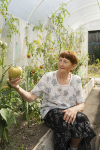 Smiling senior woman examining tomatoes in greenhouse