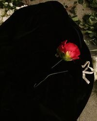 Close-up of rose bouquet