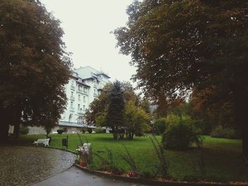 Footpath in park