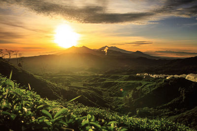 Scenic view of field against sky during sunset