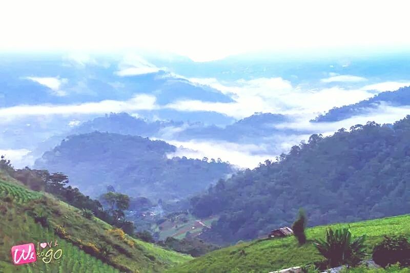 mountain, mountain range, landscape, scenics, tranquil scene, tranquility, beauty in nature, sky, nature, green color, non-urban scene, idyllic, tree, grass, remote, cloud - sky, valley, high angle view, hill, day