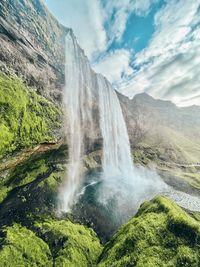 Scenic view of waterfall in forest